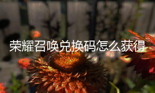 不同荣耀新增码怎么获码汇兑换得 兑换召唤总渠道
